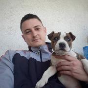 Profile photo of Miljan Buha